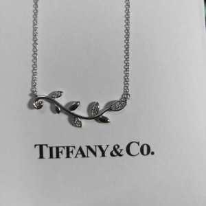 2019 SS Trend New Tiffany & Co Necklace Now nổi tiếng phổ biến _ Tiffany & Co_ Thương hiệu giá rẻ (Lớp lớn nhất của )